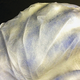 Illustration for article titled The Spray-On Surgical Film That Could Make Sutures Redundant